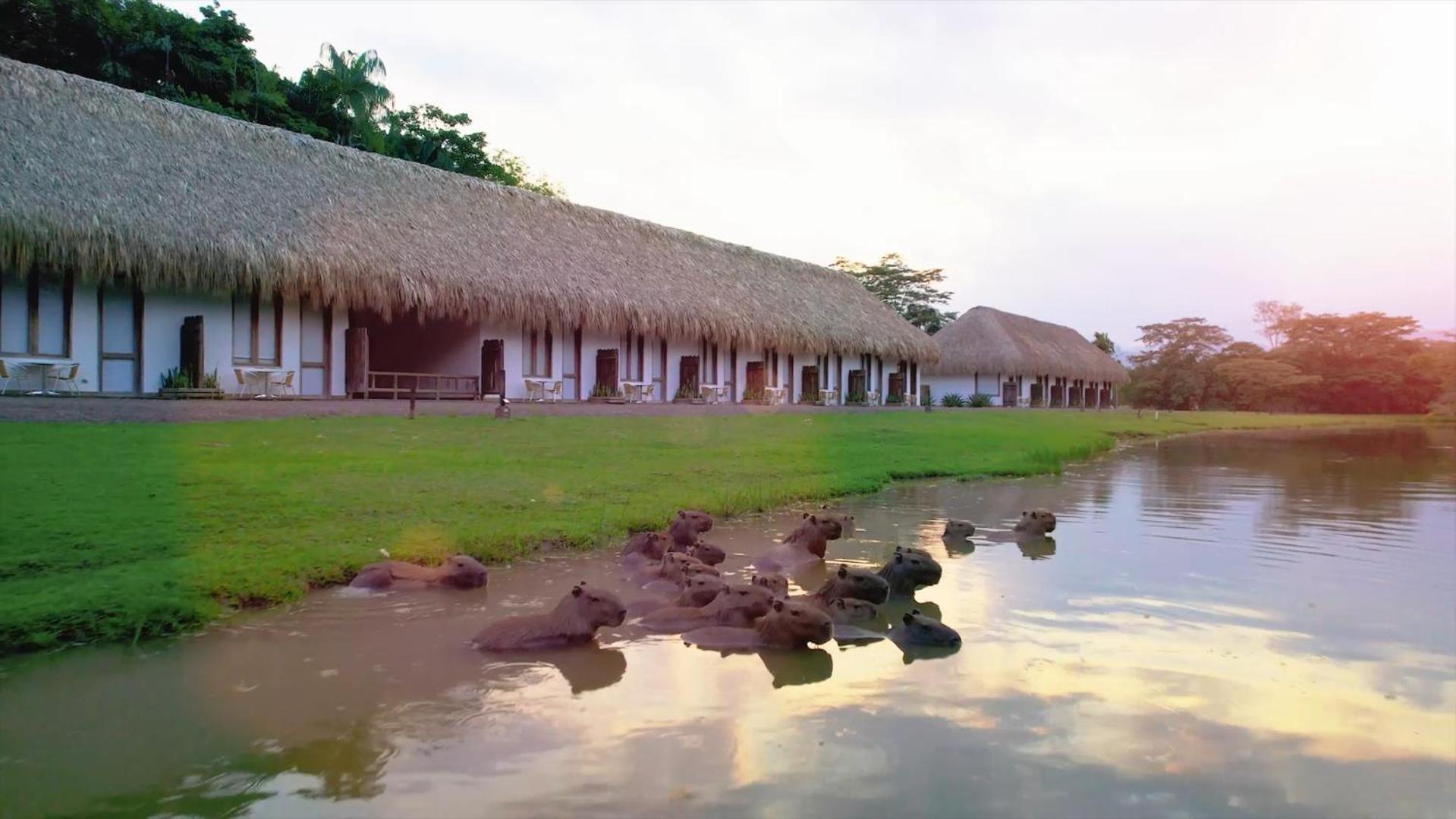 Hotel Reserva De Piedemonte La Palmera المظهر الخارجي الصورة